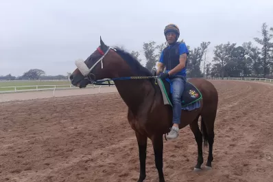 Batalla de Tucumán: sobran candidatos y también la confianza