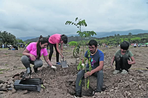 Plantaron 700 árboles para crear un nuevo bosque en La Hoya