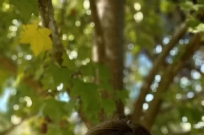 Por qué es bueno que los chicos se suban al árbol