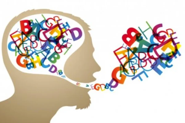 El insulto, entre la elegancia y la procacidad