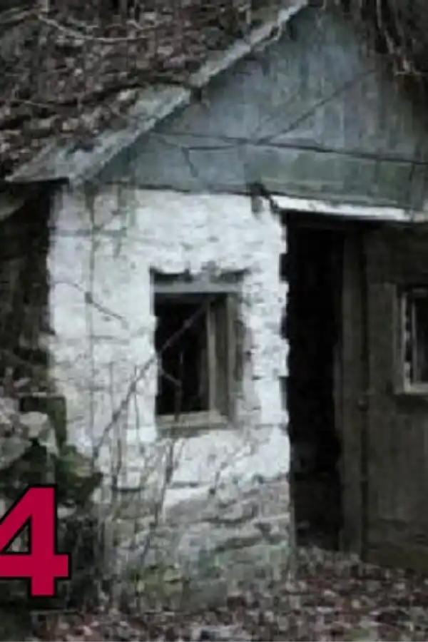 Un test de personalidad sobre los miedos revela interesantes datos sobre tu futuro