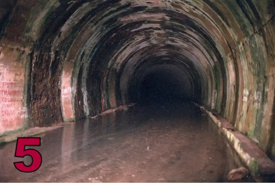 Un test de personalidad sobre los miedos revela interesantes datos sobre tu futuro