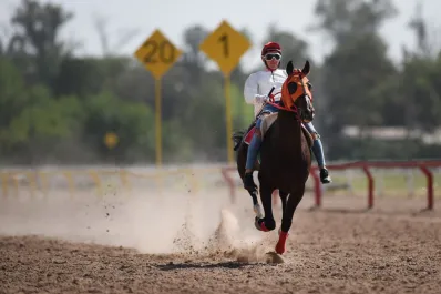 “Slew of Valid está 10 puntos”, aseguró el jockey José Vizcarra