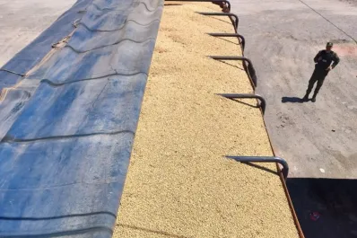 Secuestraron más de 117 toneladas de soja que era transportada sin aval legal