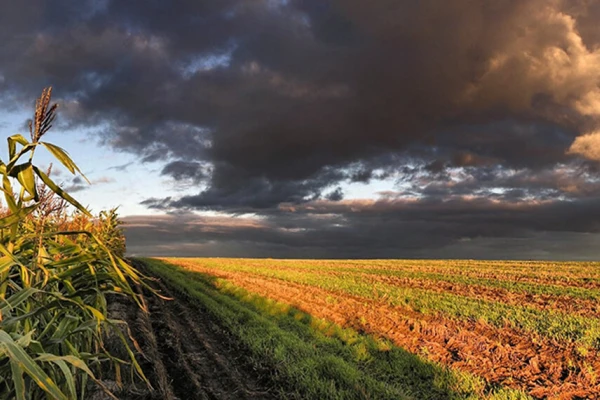 Prevén lluvias por encima de lo normal entre noviembre y enero