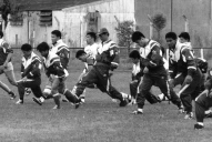 Mundial de Francia: Los Pumas-Japón, una historia que comenzó en Tucumán