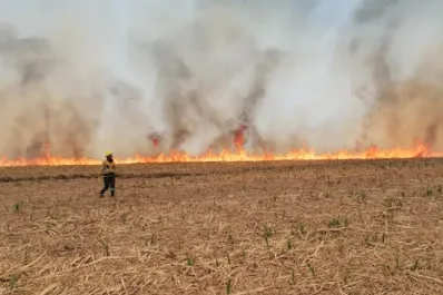 Por la quema de rastrojo se produjo un choque vehicular en cadena