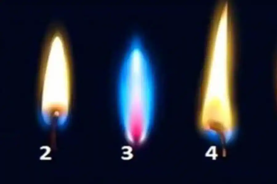 Test de personalidad: elegí una llama y descubrí cuál es el mayor temor que escondes.