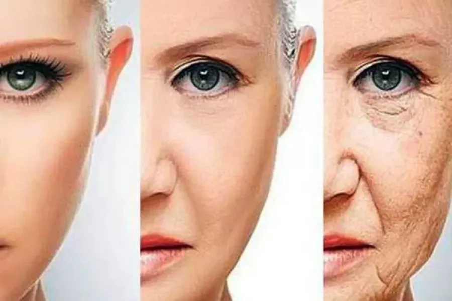 Un estudio reveló una particular causa que acelera el envejecimiento