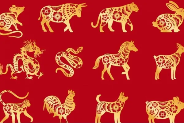 Horóscopo chino de Ludovica Squirru: qué depara el 2023, animal por animal