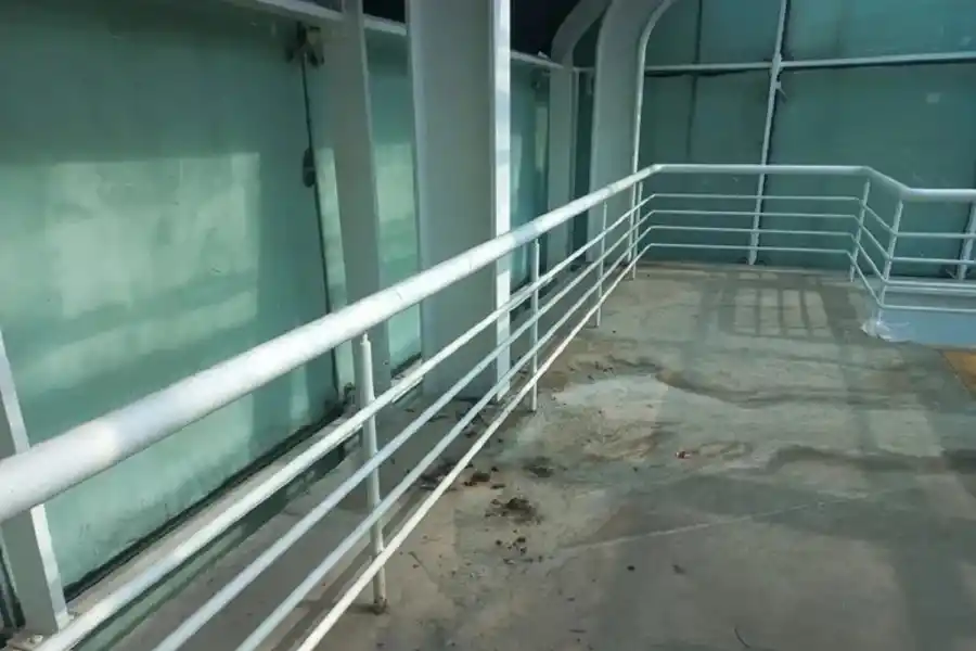 Fotos de Raphael Zarko y Davi Barros (diario Ge Globo).