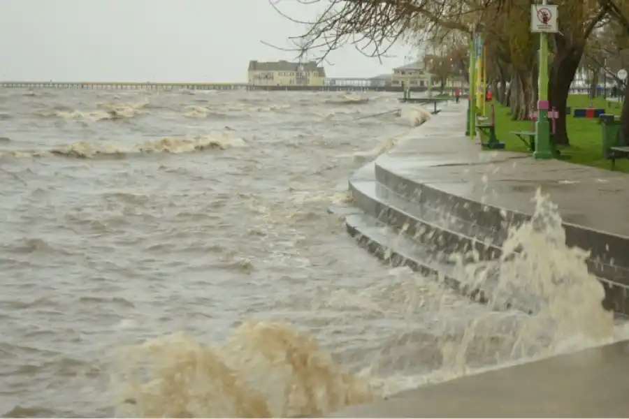 Crecida del Río de la Plata: hubo inundaciones en la zona norte de Buenos Aires