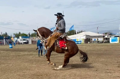 Fiesta en Trancas: hoy se elige al mejor caballo peruano de paso