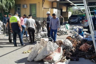 Denuncian 50 casos de robo por mes