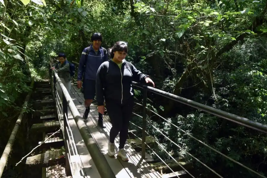 EL PUENTE. La estructura del trunco funicular, un atractivo para la gente.