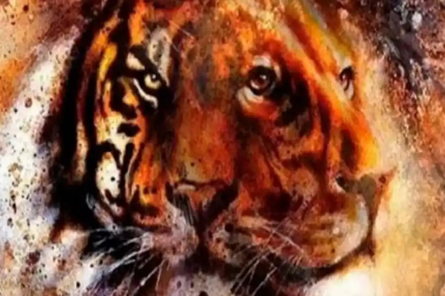 Test viral: el felino que identifiques primero revelará qué ocultas de tu personalidad a los demás.