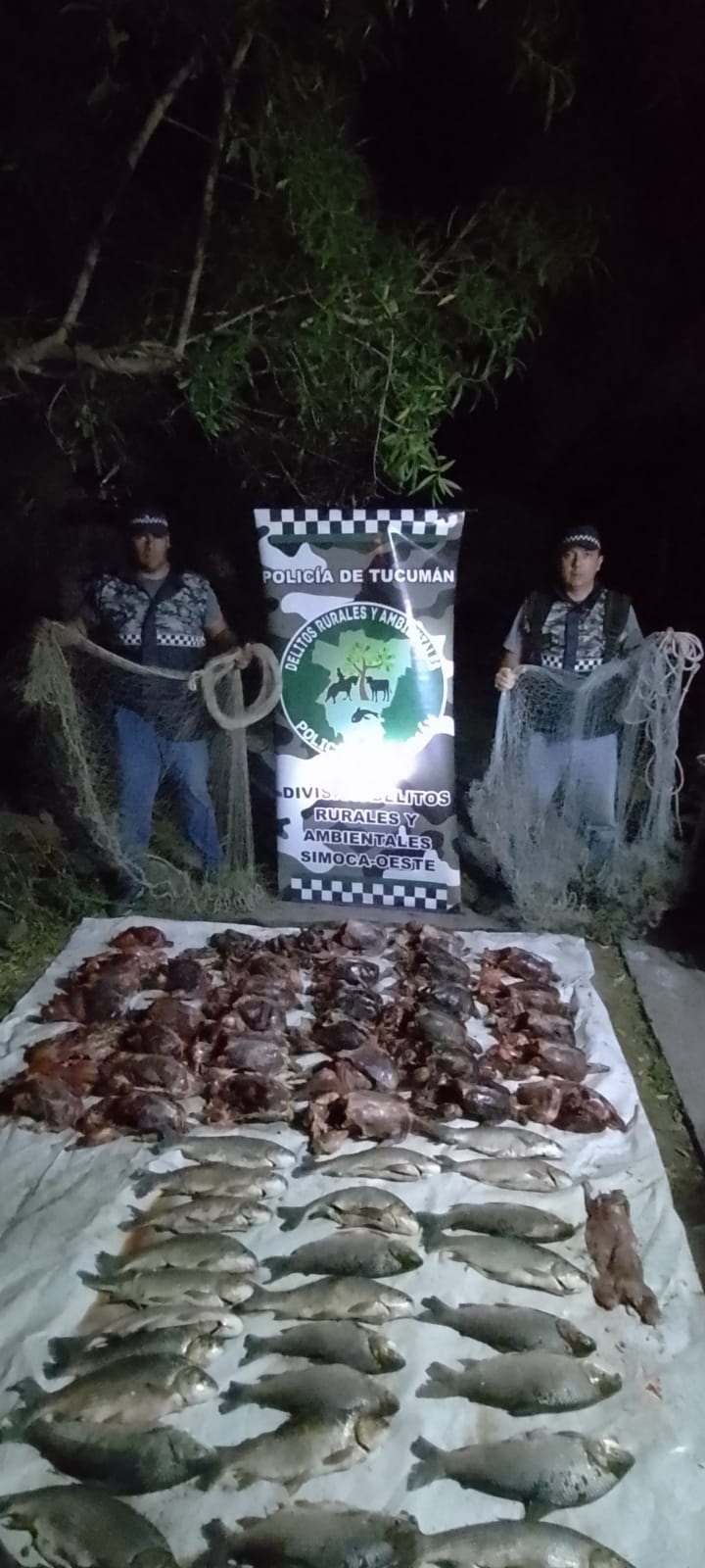 Los detalles del millonario negocio del tráfico ilegal de aves en Tucumán