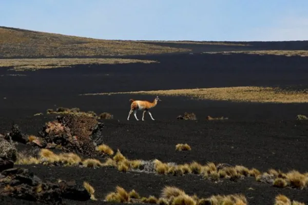 Vacaciones: conocé el desierto negro, un viaje a otro planeta sin salir de Argentina