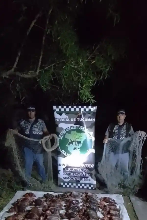 Los detalles del millonario negocio del tráfico ilegal de aves en Tucumán