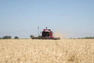 Cuál será el impacto de las medidas de Milei para el agro ,según la organización CREA