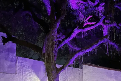 Una propuesta interdisciplinaria con música latina llega al Virla