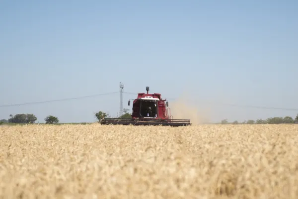 Argentina acordó con China la exportación de trigo, lana y menudencias bovinas
