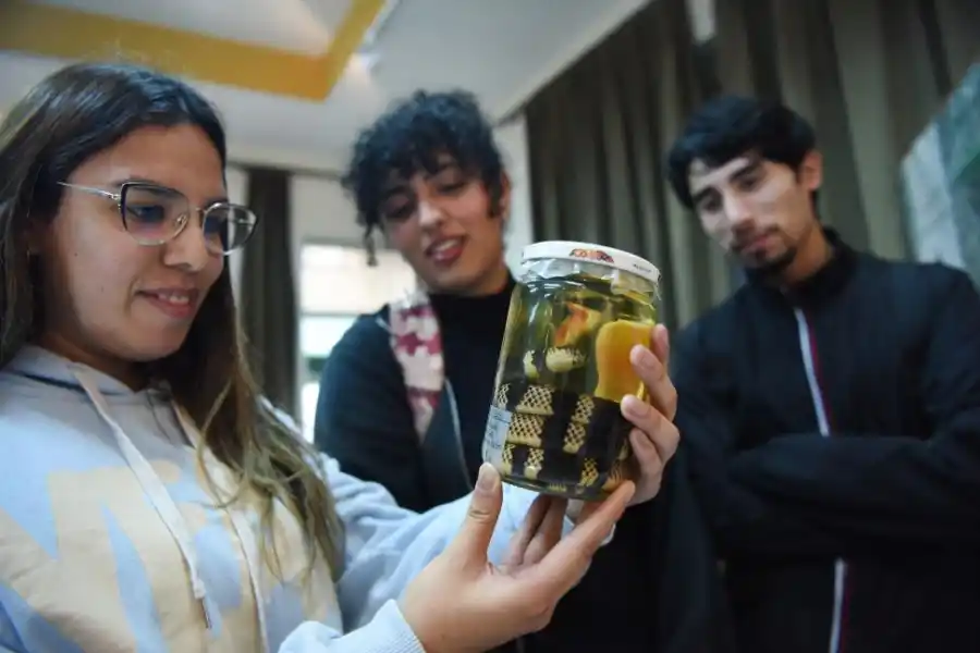 La Fundación Miguel Lillo exhibe las maravillas de las Ciencias Naturales