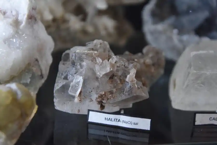 La Fundación Miguel Lillo exhibe las maravillas de las Ciencias Naturales