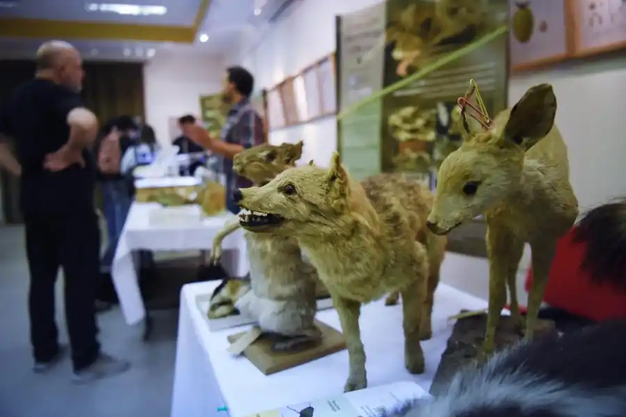 La Fundación Miguel Lillo exhibe las maravillas de las Ciencias Naturales