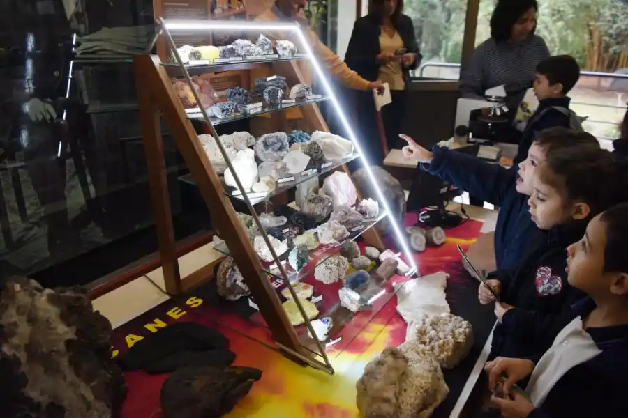 La Fundación Miguel Lillo exhibe las maravillas de las Ciencias Naturales