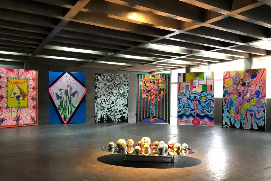 Nicolás Leiva vino desde Miami para llenar de color la Facultad de Artes