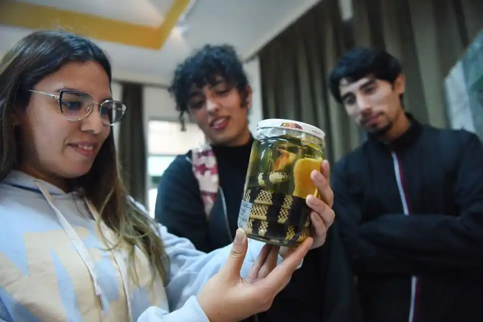 La Fundación Miguel Lillo exhibe las maravillas de las Ciencias Naturales