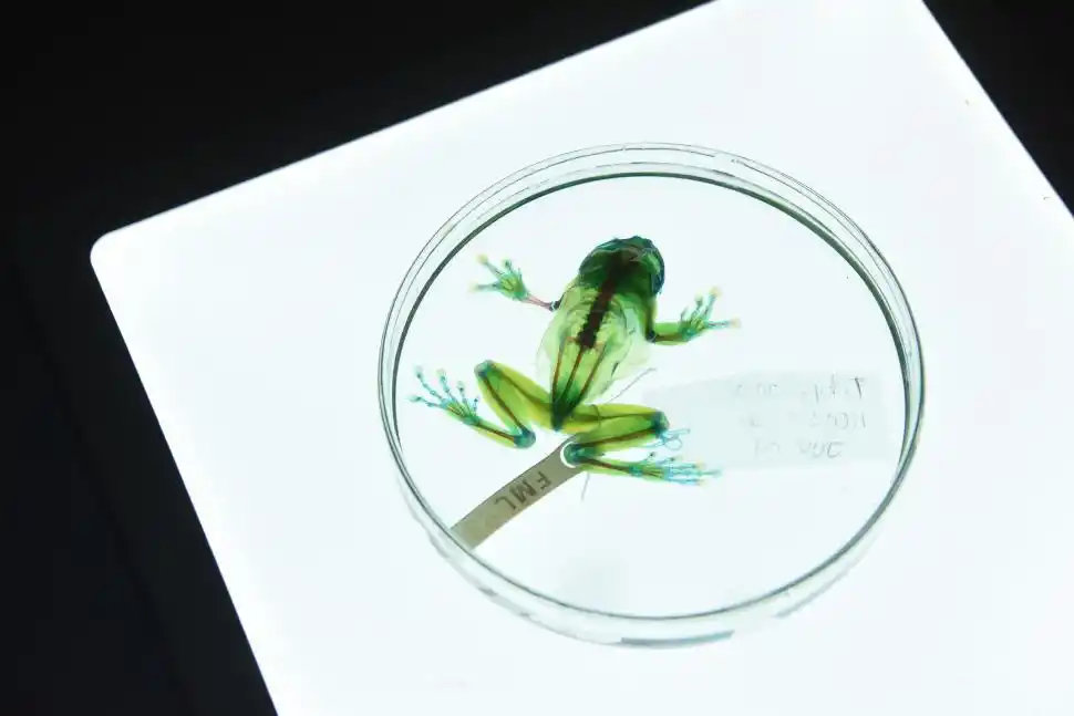 La Fundación Miguel Lillo exhibe las maravillas de las Ciencias Naturales