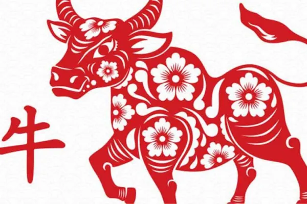 Horóscopo chino: cómo le irá al signo del búfalo, según Ludovica Squirru