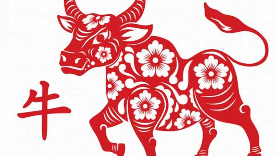 Horóscopo chino: cómo le irá al signo del búfalo, según Ludovica Squirru.