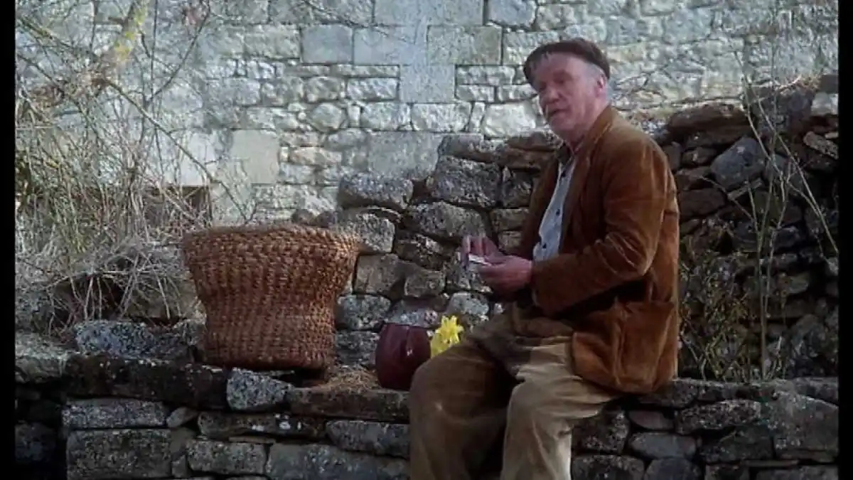 Películas y series para entender cómo se gana una elección