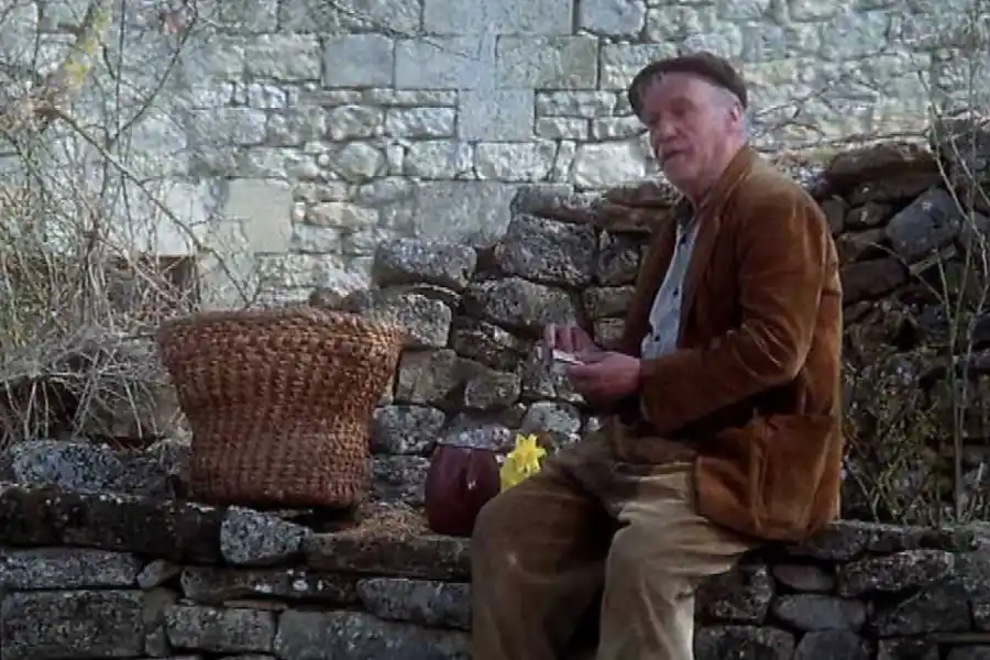 Películas y series para entender cómo se gana una elección