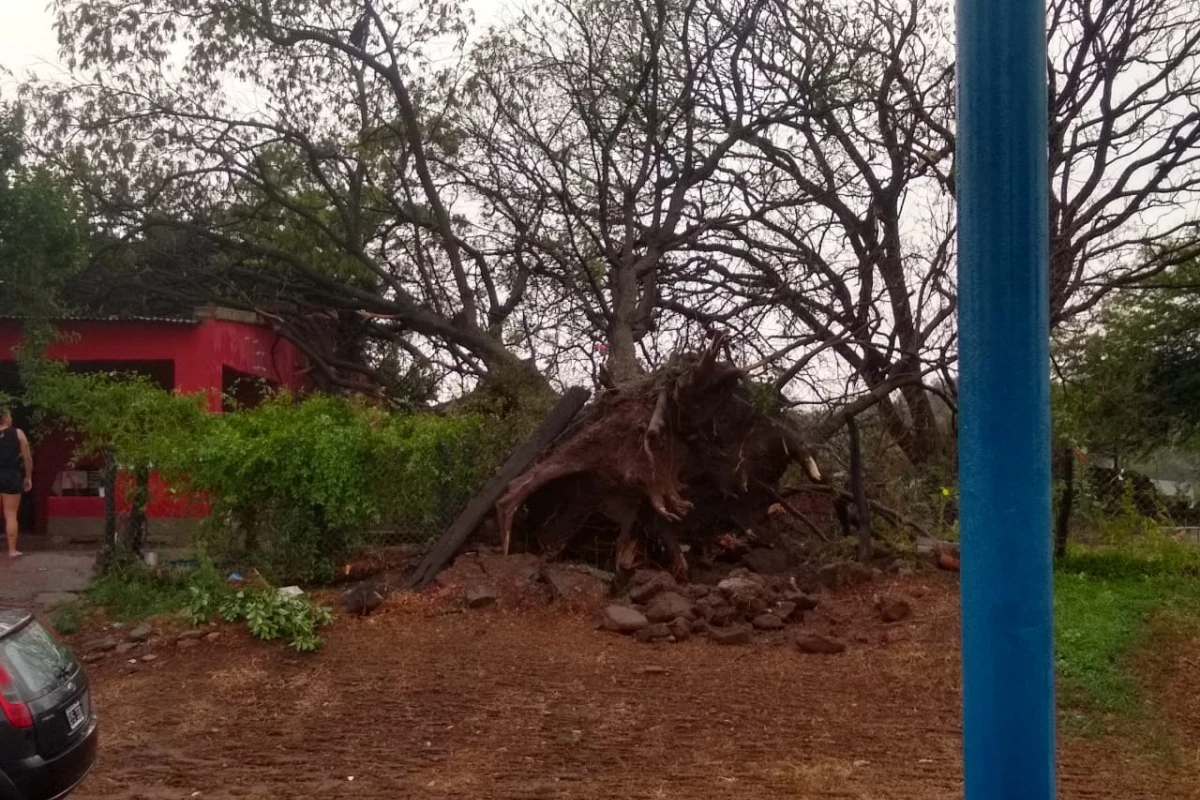 ALERTA METEOROLÓGICA. Se registraron intensa tormenta y fuertes ráfagas de viento en Burruyacu.