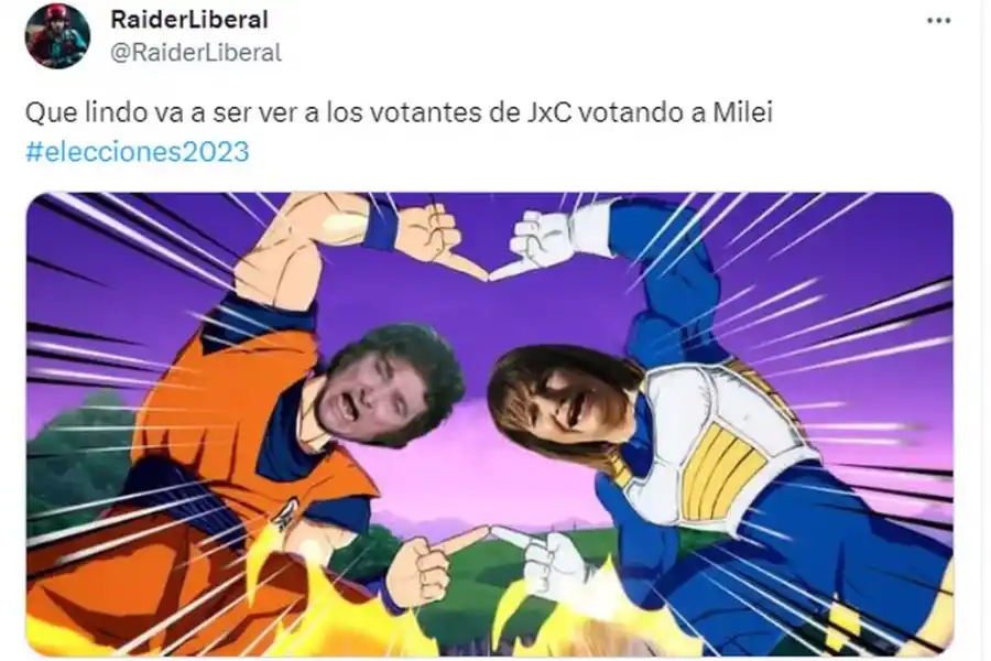 De cara al Balotaje 2023: los mejores memes de las Elecciones