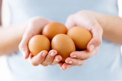 Alimentación saludable: cuántos huevos se recomienda comer por día y quiénes deben evitar su consumo