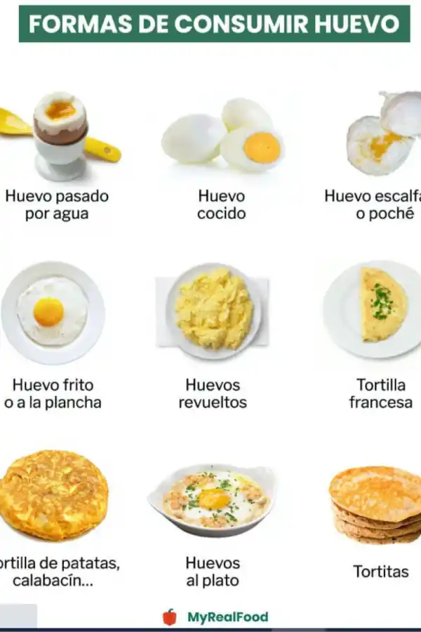 Las distintas maneras en las que se puede preparar los huevos.