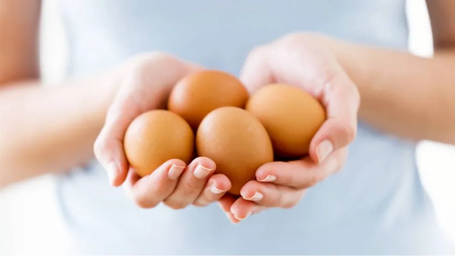 Alimentación saludable: cuántos huevos se recomienda comer por día y quiénes deben evitar su consumo.