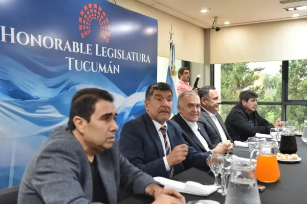 Mansilla, al frente de Juicio Político