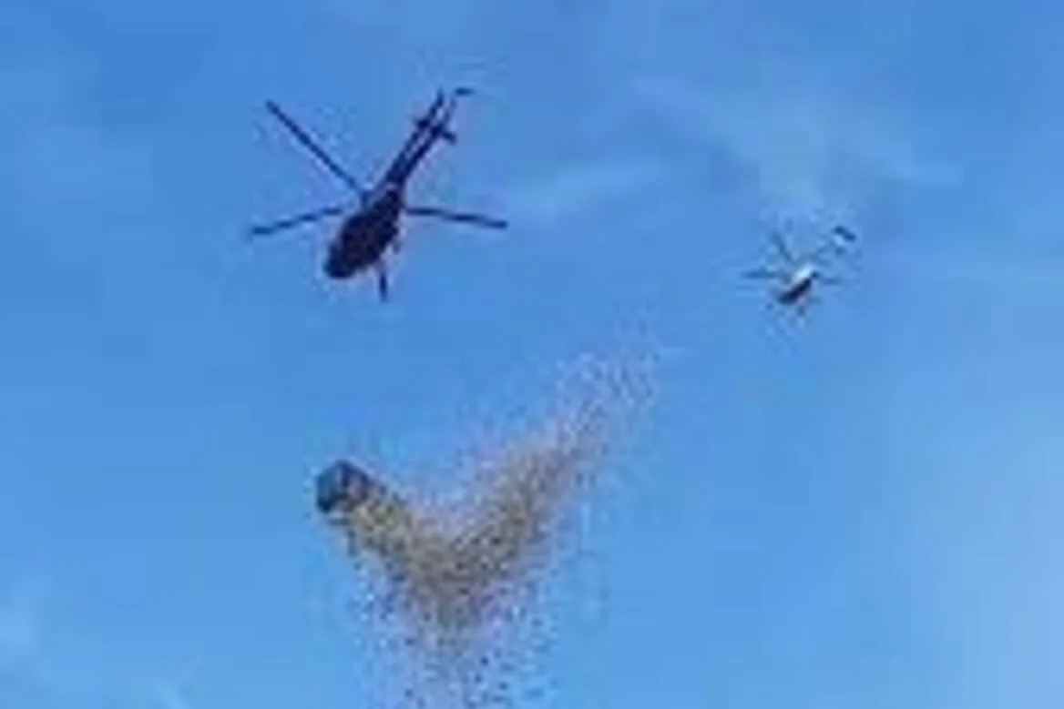 Video: un influencer arrojó U$S1 millón desde un helicóptero para sus seguidores