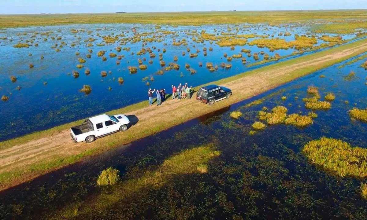 El terreno pantanoso de los Esteros del Iberá en Corrientes