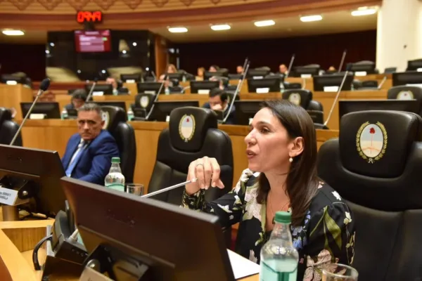 Agrupaciones feministas critican el posible arribo de Sara Alperovich a la Secretaría de la Mujer