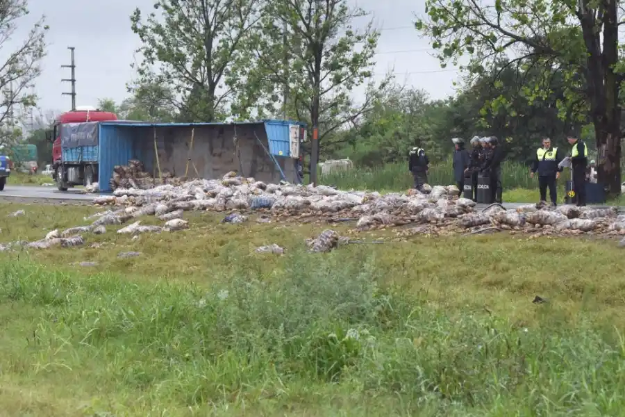 EL RESULTADO. Así quedaron desparramadas las bolsas con los tubérculos.