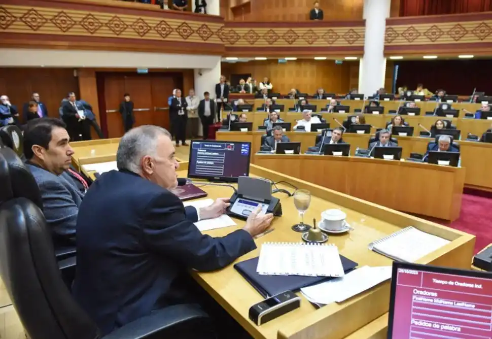 APARTAMIENTO. Jaldo obtuvo el permiso para hablar en el recinto.