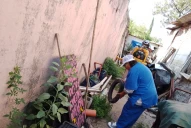 Dengue en Tucumán: detectan criaderos de Aedes aegypti y avanzan con el descacharreo