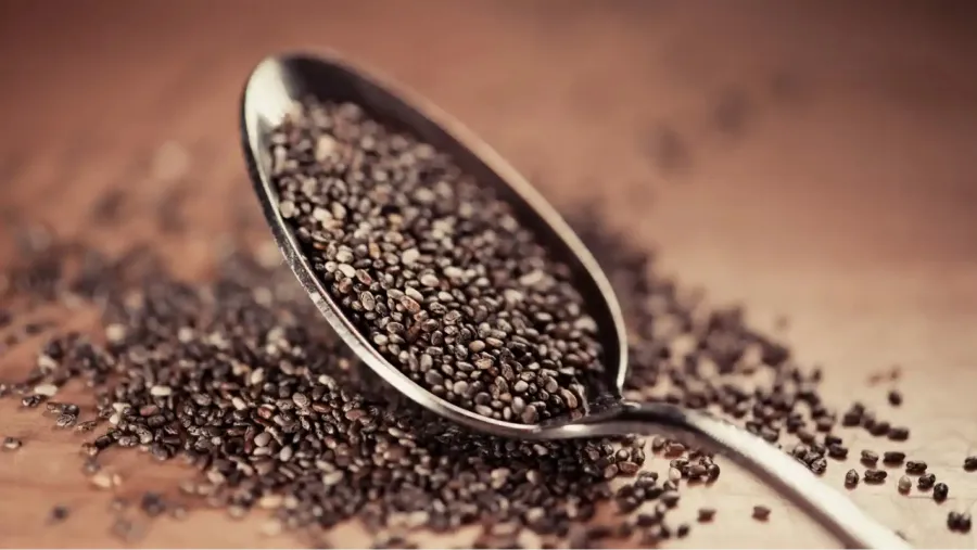 El consumo regular de semillas de chía impulsa la salud del tejido intestinal